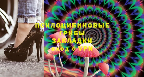 твердый Богданович