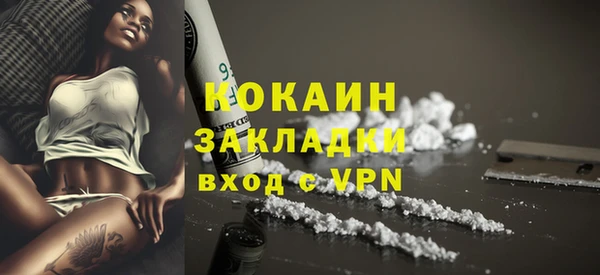 твердый Богданович