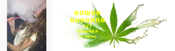 твердый Богданович